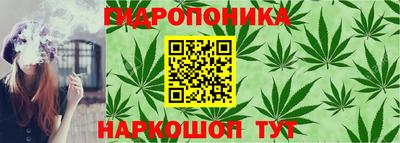 спиды Жуковский